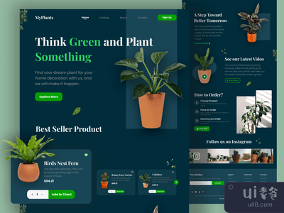 我的植物 - 植物登陆页(MyPlants - Plant Landing Page)