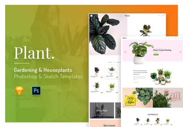 植物 - 园艺_家庭盆栽 (Plant - Gardening _ Houseplants)