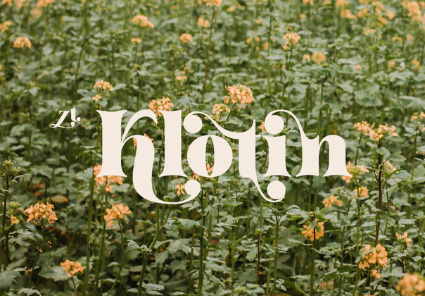 ZT Klotin (ZT Klotin)