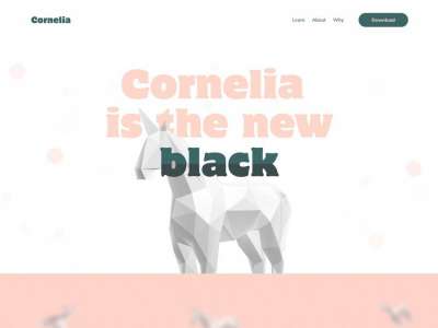 清洁的极简网页设计(Clean Minimal Web Design)