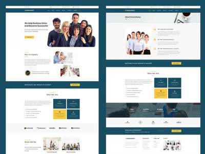 咨询PSD网站(Consultant PSD Website)