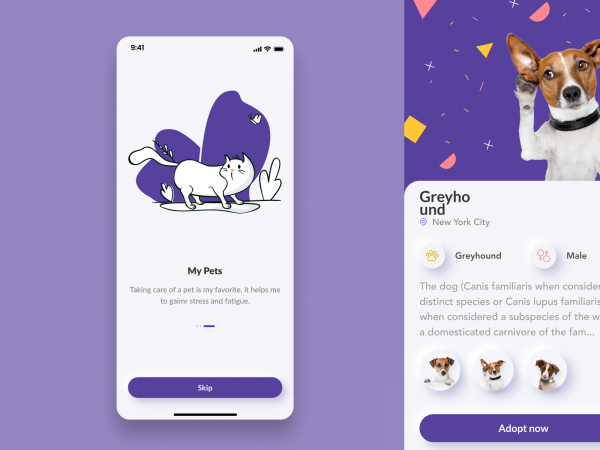 宠物领养移动应用程序(Pet Adoption Mobile App)