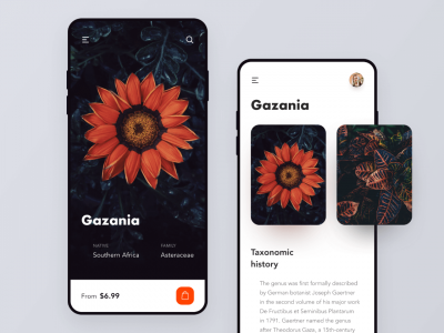 鲜花店概念(Flowers Shop Concept)