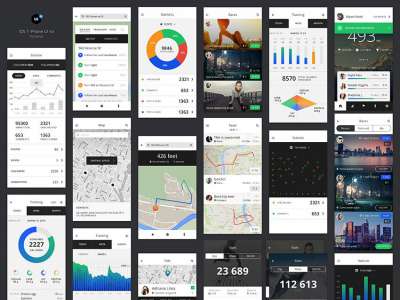 追踪应用程序设计UI套件(Tracking App Design UI Kit)