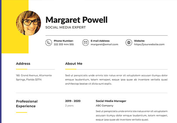 大捆的专业简历简历 (Big Bundle Professional CV Resume)