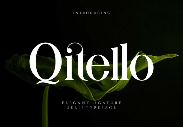 Qitello立体衬线字体 (Qitello Ligature Serif Typeface)