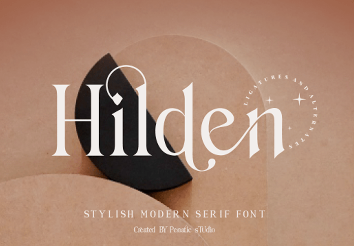 Hilden - 时尚的现代衬线字体 (Hilden - stylish modern serif