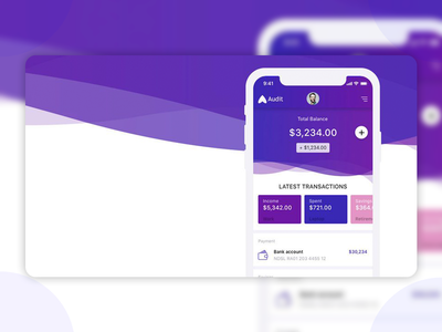 财务审计应用程序 UI 套件(Audit Finance app UI kit)