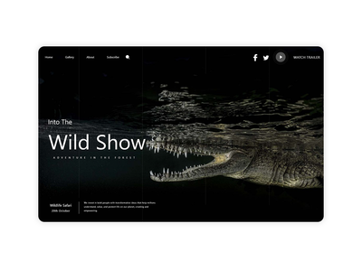 鳄鱼网登陆(crocodile Web Landing)