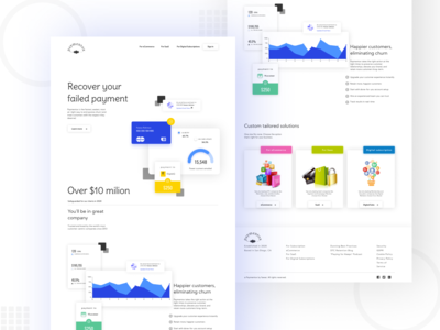 数字支付服务(Digital payment services)