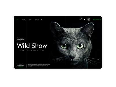 猫网着陆(Cat Web Landing)