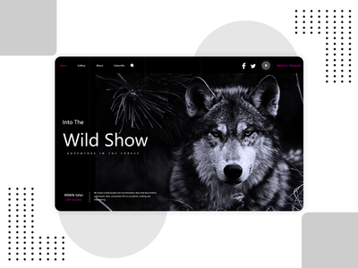 狼网登陆(Wolf Web Landing)