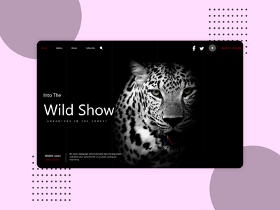 豹网登陆(Leopard Web Landing)