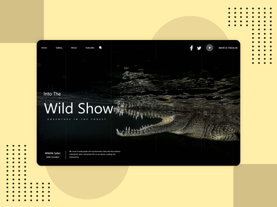 鳄鱼网登陆(crocodile Web Landing)