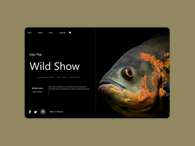 鱼网概念登陆(Fish Web Concept Landing)
