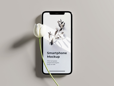 iPhone 11 Pro 样机(iPhone 11 Pro mockup)