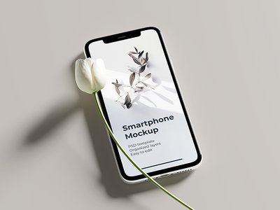 iPhone 11 Pro 样机(iPhone 11 Pro mockup)