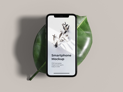 iPhone 11 Pro 样机(iPhone 11 Pro mockup)