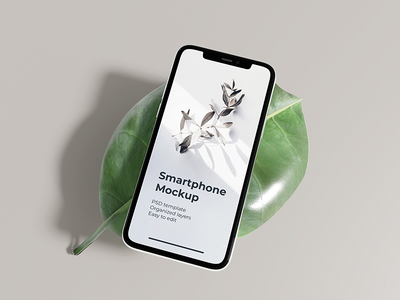 iPhone 11 Pro 样机(iPhone 11 Pro mockup)