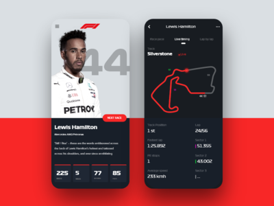 F1申请(F1 Application)