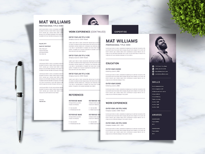 简历模板 sanstemp(CV Resume template sanstemp)