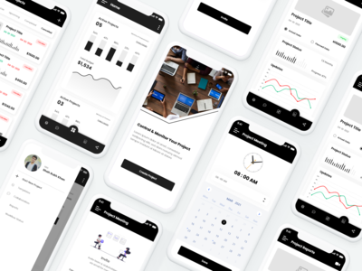 在线项目管理应用程序(Online Project Management App)
