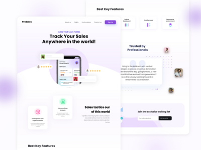 销售跟踪登陆页面(Sales Tracking Landing Page)