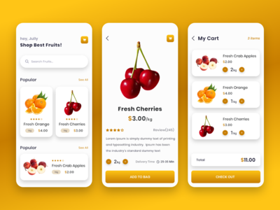 水果应用设计(Fruit App Design)
