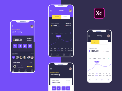我的钱包应用程序屏幕(My Wallet App Screen)
