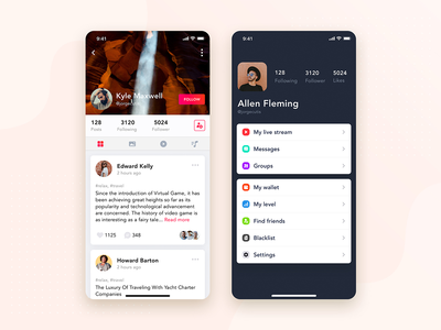 用户配置文件移动界面(User Profile mobile interface concept)
