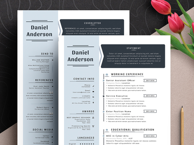 专业简历模板(Professional Resume CV Template)