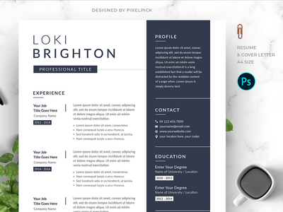 专业简历模板(Professional Resume Template)