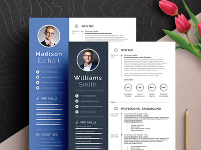 专业清洁简历简历模板(Professional Clean Resume CV Template)