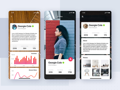 配置文件 UI 移动应用程序概念(Profile UI mobile app concept)