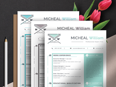 现代简历简历模板(Modern Resume CV Template)
