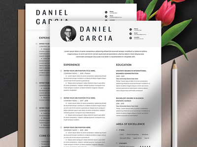 干净的可编辑简历模板(Clean Editable Resume Cv Template)