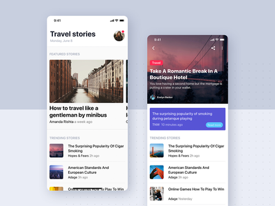 (Articles Details UI Mobile Template)