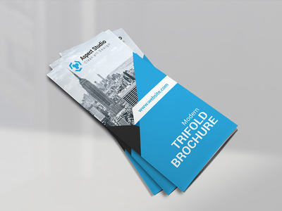 宣传册设计(Brochure Design)