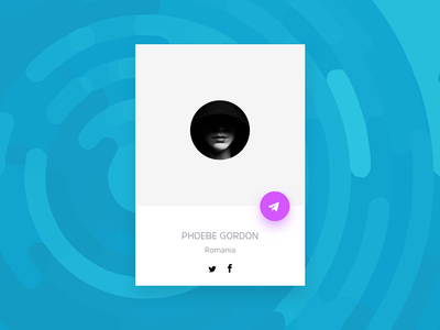 最小的个人资料卡小部件(Minimal Profile Card Widget)
