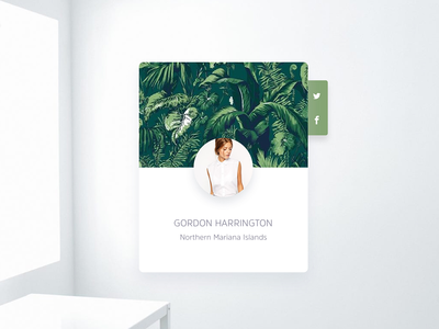 最小配置文件展示小部件(Minimal Profile Showcase Widget)