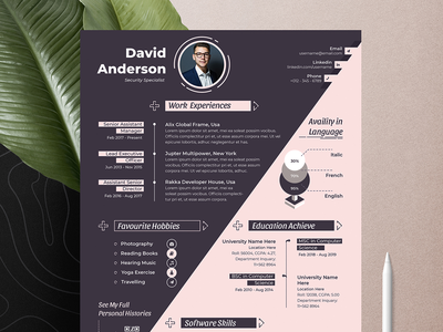 现代简历简历模板(Modern Resume Cv Template)