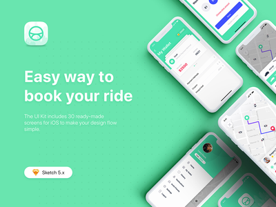 无效的(ABER - Taxi Booking UI Kit for SKETCH)