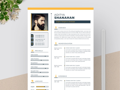 简历模板(Resume Template)