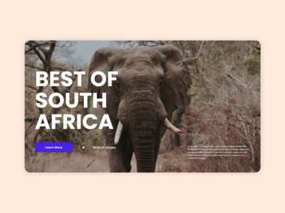 Safari 网络概念(Safari web concept)