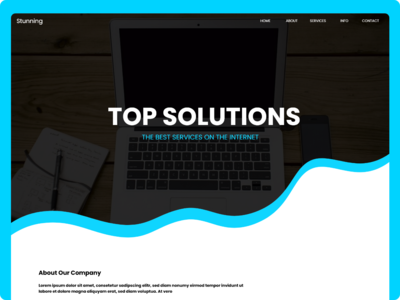 机构主页(Agency Home Page)