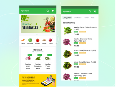 有机蔬菜交付概念(Organic Vegetable Delivery Concept)