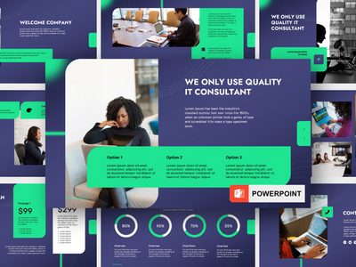 Ailene - IT 顾问 Powerpoint(Ailene - IT Consultant Powerpoint)