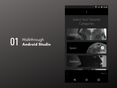 演练屏幕(walkthrough Screen)