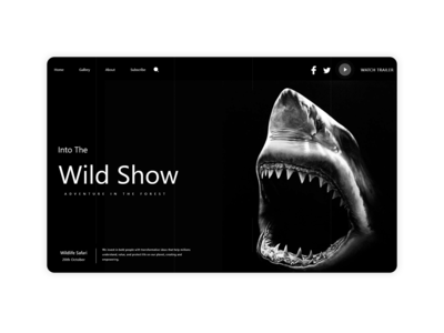 鲨鱼网登陆(Shark Web Landing)