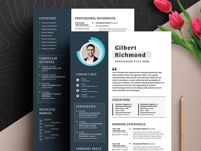 现代创意简历简历模板(Modern Creative Resume Cv Template)
